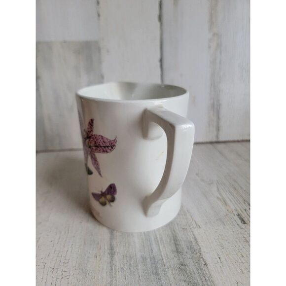 Botanic Gardens crocus meadow saffron snow drop picture flower - Picture 3 of 11